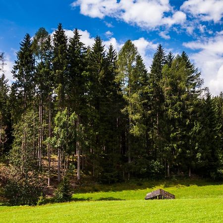 Biobauernhof Kleinummerstall Mittersill Esterno foto
