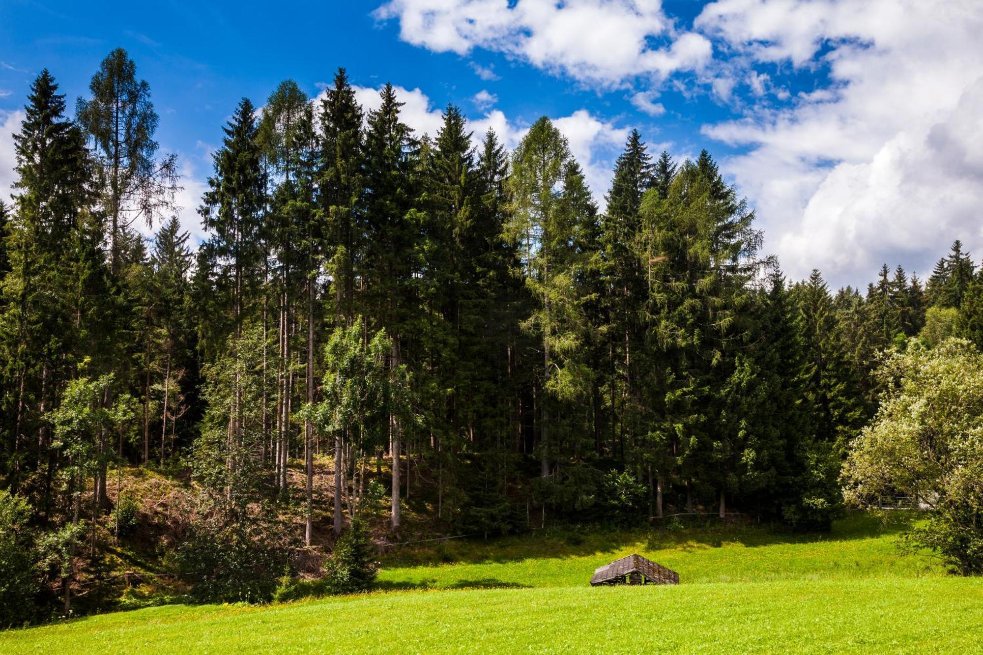 Biobauernhof Kleinummerstall Mittersill Esterno foto