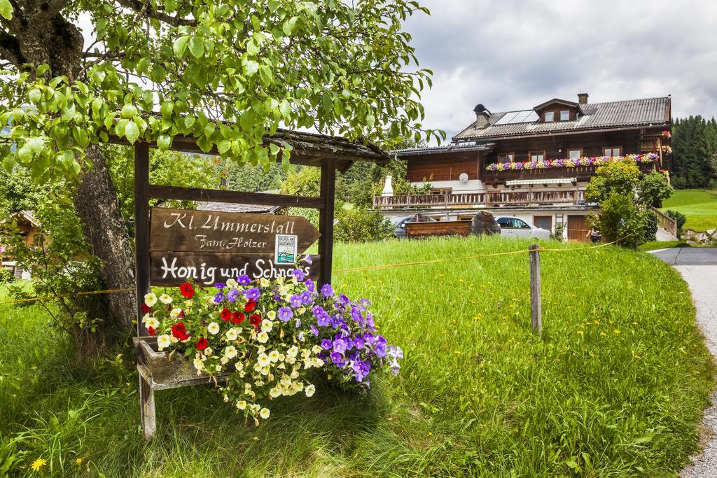 Biobauernhof Kleinummerstall Mittersill Esterno foto